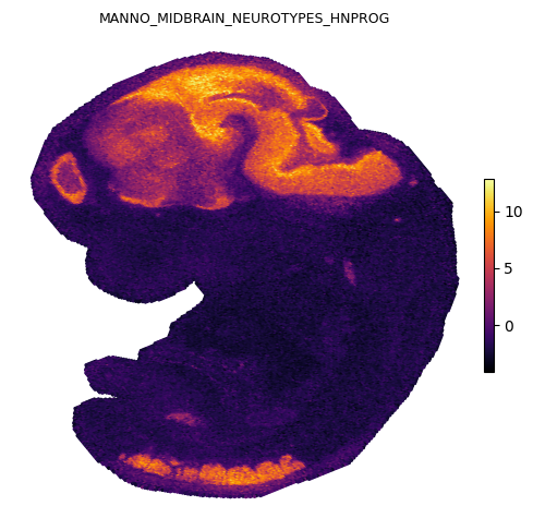 _images/gesso_demo_stereoseq_17_1.png