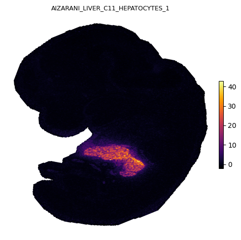 _images/gesso_demo_stereoseq_17_3.png