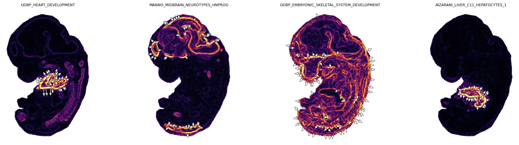 _images/gesso_demo_stereoseq_21_0.png