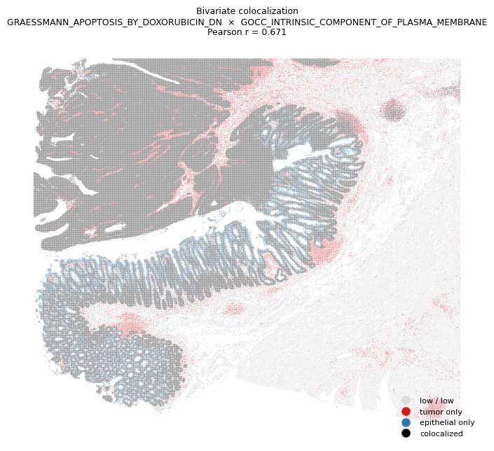 _images/gesso_demo_visiumhd_19_1.png